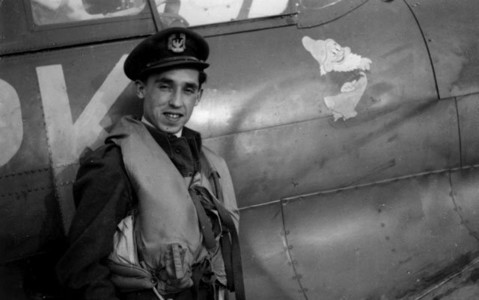 Polish Spitfire pilot wins RAF hero poll