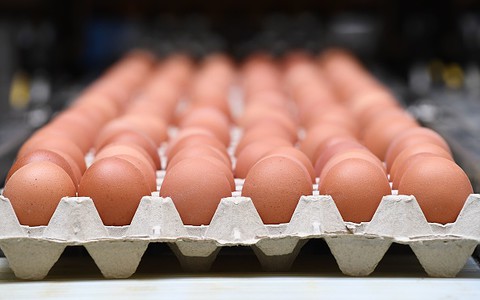 Pregnant women can safely eat runny eggs for first time since salmonella crisis