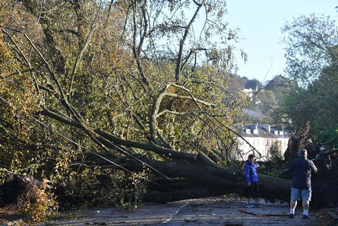 Met Eireann says Storm Brian 'is nothing to worry about' as second storm to pass through Ireland