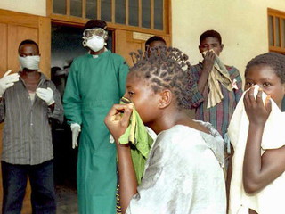 Epidemia Eboli: Wkrótce testy szczepionki na ludziach