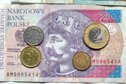 Jeden na dziesięciu Polaków zarabia płacę minimalną