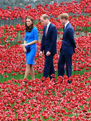 WW1 commemorations: Royals 'plant' ceramic poppies at Tower of London
