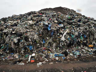 Ludzkie szczątki na wysypisku śmieci w Dublinie