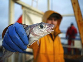 Szkoccy rybacy i farmerzy obawiają się skutków sankcji