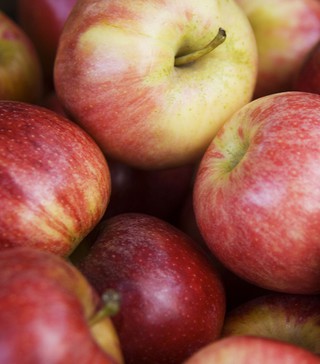Polish apples to be sold in Canada?