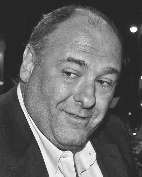 Zmarł James Gandolfini, filmowy gangster Tony Soprano