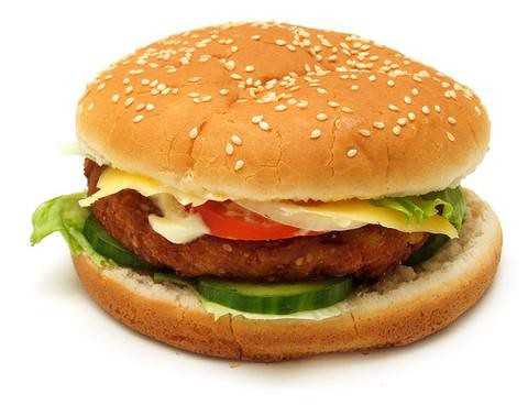 Hamburger in vitro za 250 tys. euro