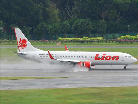 Indonesian plane skids off runway after hitting cow