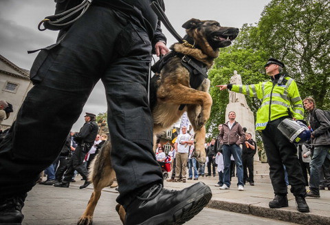 Brytyjska policja usypia zdrowe psy