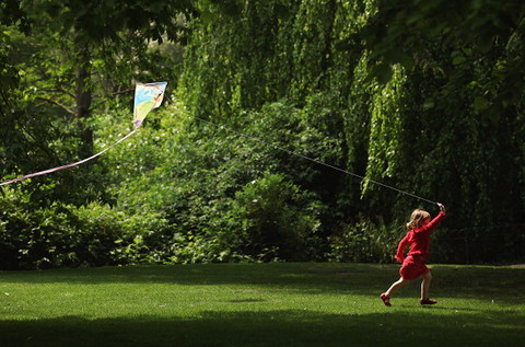 Penalties proposed in London borough for people who climb trees or fly kites