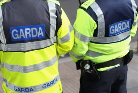 Irlandzka Garda apeluje o donosy na sąsiadów