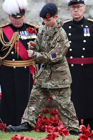 Armistice Day: Final Tower poppy laid as UK honours fallen