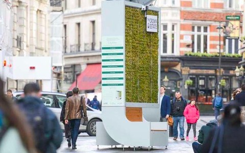 W Londynie stanęły ekologiczne ławki oczyszczające powietrze