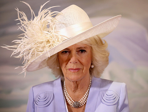 Camilla's private side revealed in new TV documentary