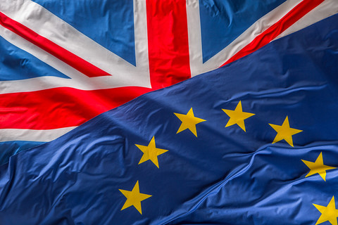 Major survey finds Remain would win second Brexit referendum