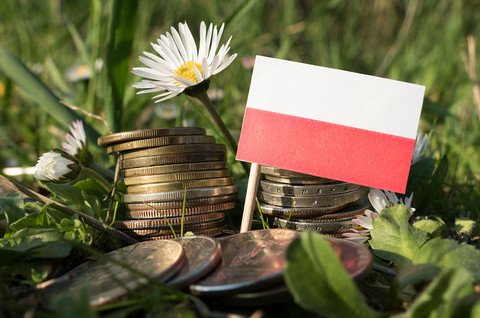 BZ WBK: Polski PKB zaskoczył swoją siłą