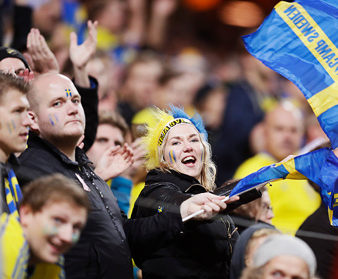 The Swedes give their tickets for the World Cup in Russia. "Horrendiving prices of hotels"