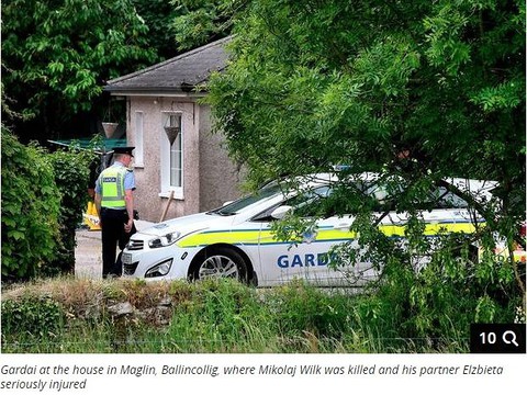 Gardaí search for motive in frenzied fatal machete attack on 'hardworking' gardener 