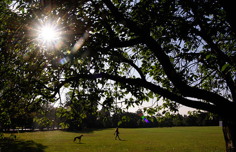 'Time running out' for UK parks, government told
