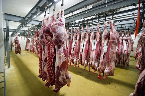 China lifts ban on British beef