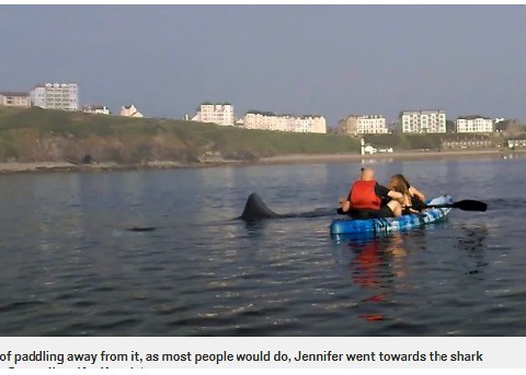 Kayakers see massive shark off Isle of Man