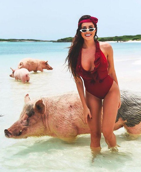 Krychowiak's girlfriend in the land of happy pigs