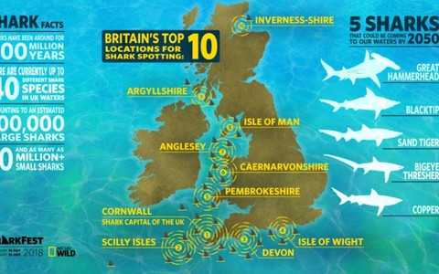 Map reveals where swimmers need to be on the lookout for sharks