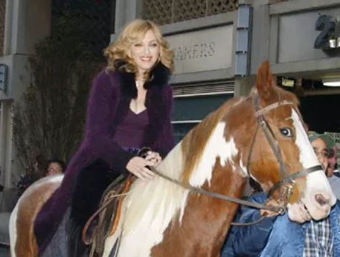 Madonna wydała 200 tys. euro na konie