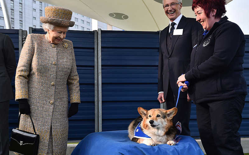 Film o ulubionym psie królowej Elżbiety II!