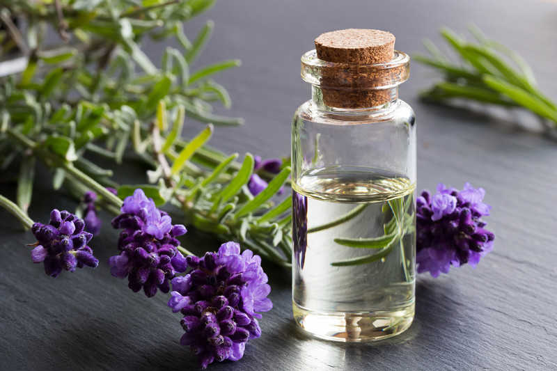 Olejek lawendowy - aromat dla zdrowia, urody i... zmysłów