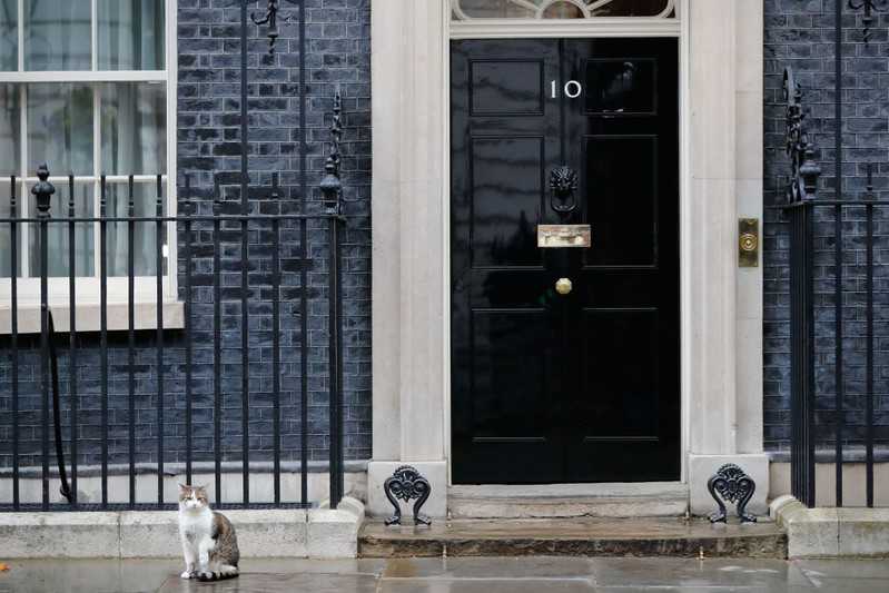 Theresa ustępuje ze stanowiska, ale co to kota obchodzi?