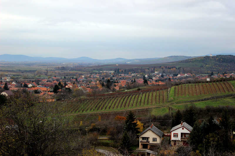 Tokaj - jedna ze stolic węgierskiego winiarstwa