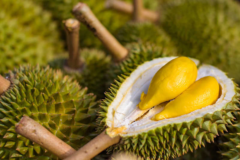 Durian - najbardziej śmierdzący owoc na świecie?