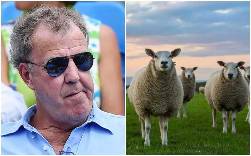 Jeremy Clarkson został poturbowany przez stado owiec