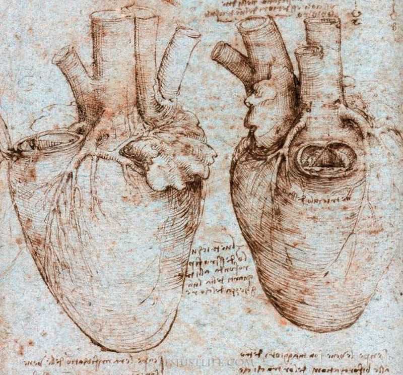 Naukowcy potrzebowali 500 lat, aby odkryć znaczenie rysunku Leonarda da Vinci