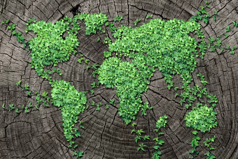 Arabia Saudyjska ogłasza plan zasadzenia 50 miliardów drzew na Ziemi