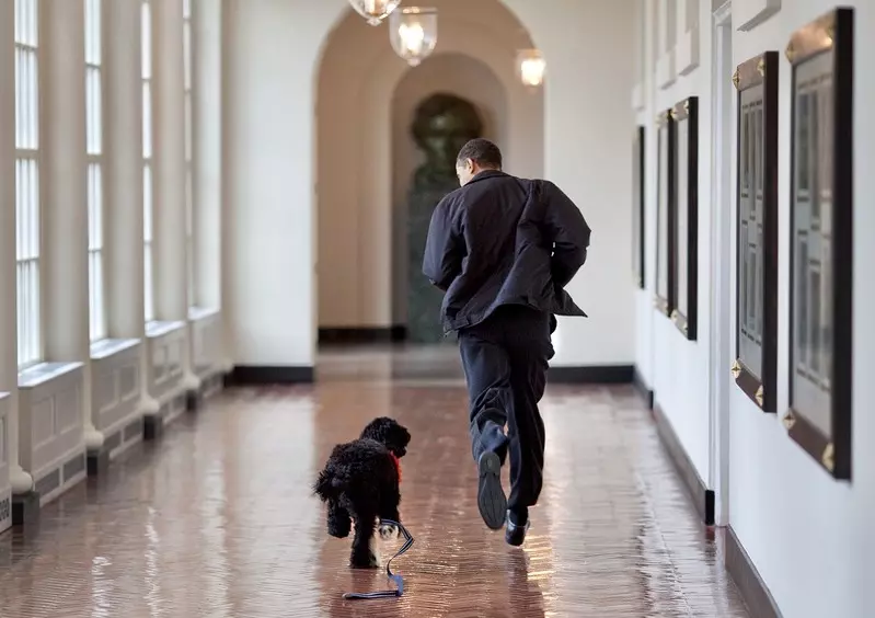 Rodzina Obamów straciła "prawdziwego przyjaciela" - psa Bo