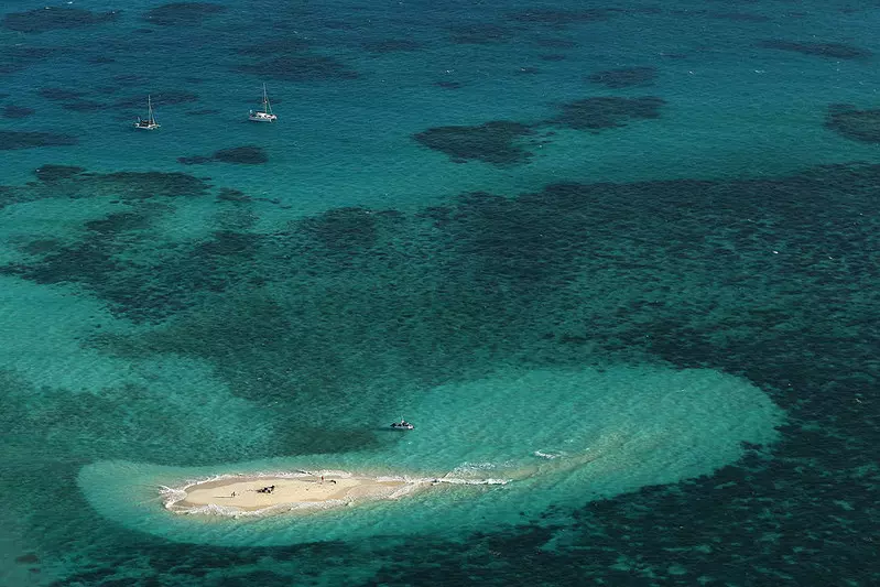 Odkryto najbardziej rozległy koralowiec Wielkiej Rafy