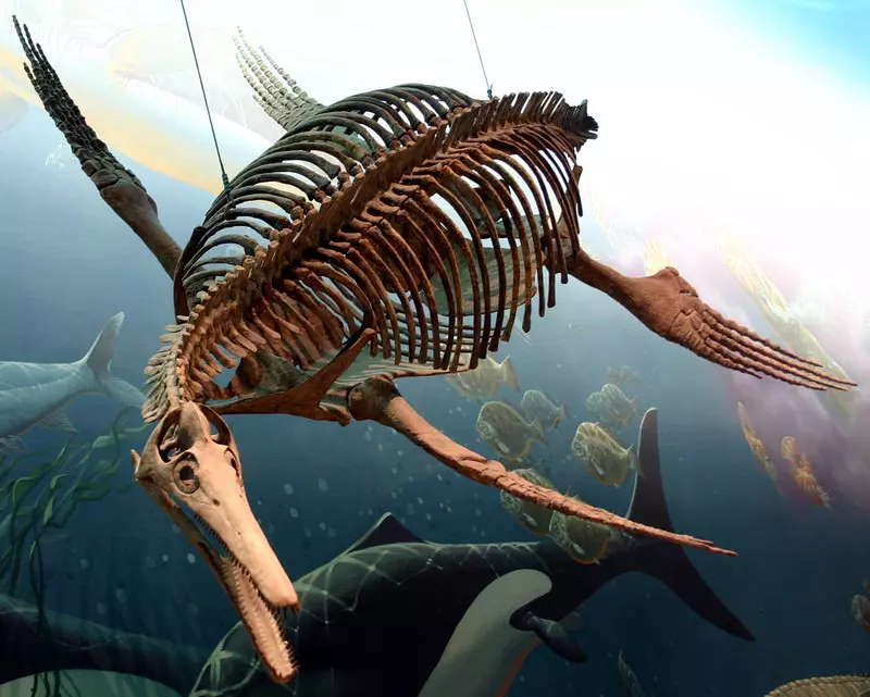 Portugalscy naukowcy znaleźli skamieliny plezjozaura sprzed 72 mln lat