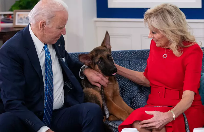 Joe Biden przedstawił swojego nowego psa
