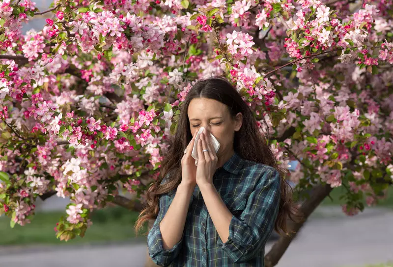 Zła wiadomość dla alergików. Zmiany klimatu wydłużają sezon pylenia roślin