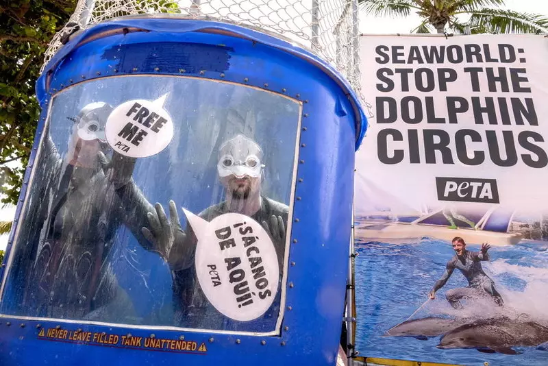 Były treser delfinów i orek: "Bojkotujcie pokazy w oceanariach"