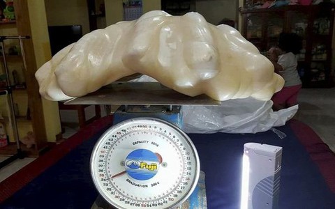 Na Filipinach odkryto największą perłę świata!