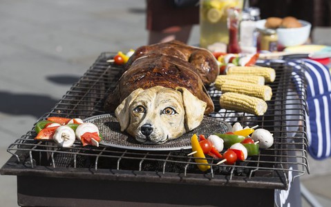 PETA upiekła psa na Trafalgar Square