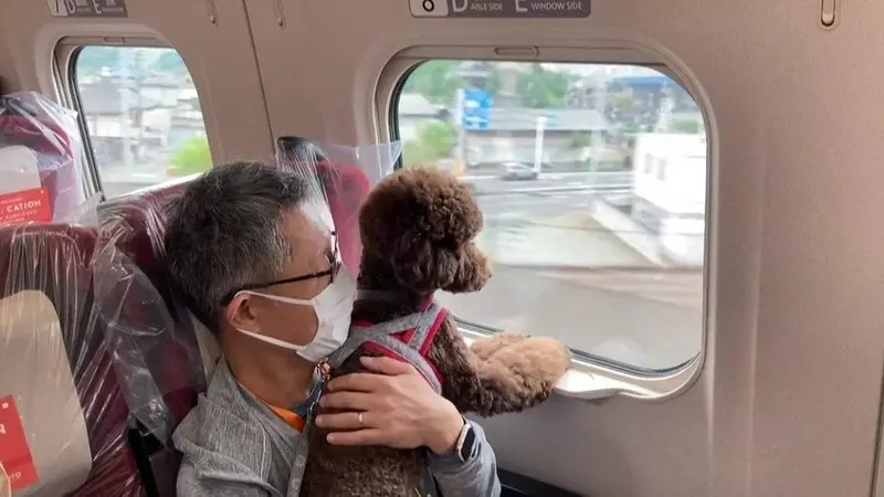 W Japonii ma być więcej pociągów przyjaznych zwierzętom