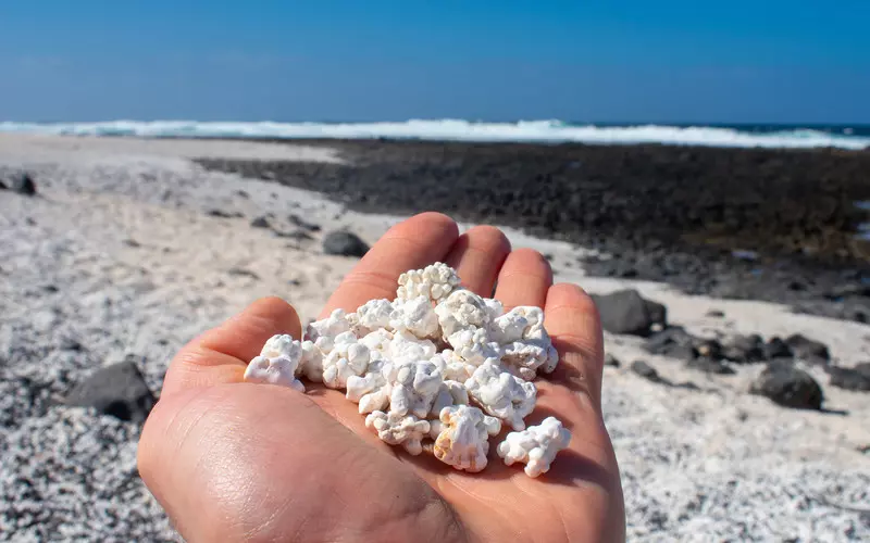Fuerteventura zaprasza na niezwykłą plażę. Ze skamielinami w kształcie popcornu