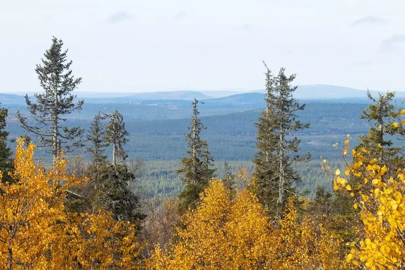 Nowy park narodowy w Finlandii "z dala od wszystkiego"...