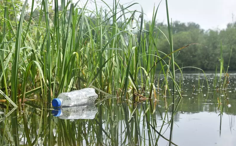 Żyjące w jeziorach bakterie "lubią" plastik