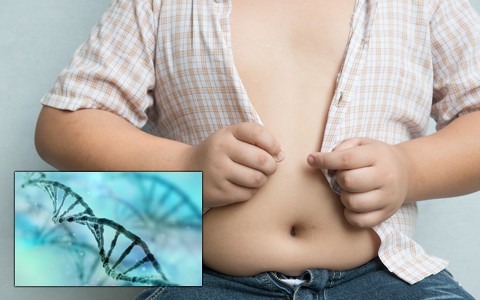 Gen otyłości już nie jest wymówką