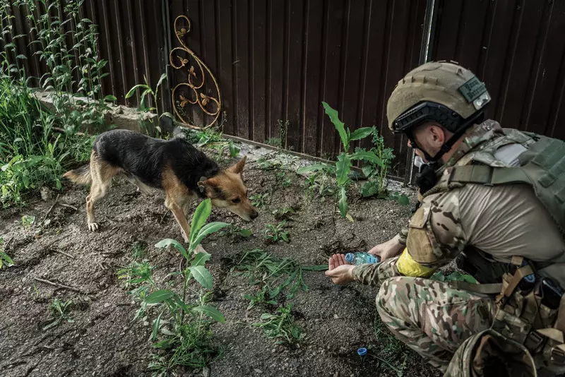 Ukraińscy żołnierze przygarniają porzucone zwierzęta. Mają nawet papugę